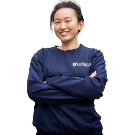 School of Medicine Jumper