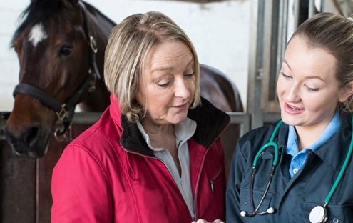 Liver fluke in horses