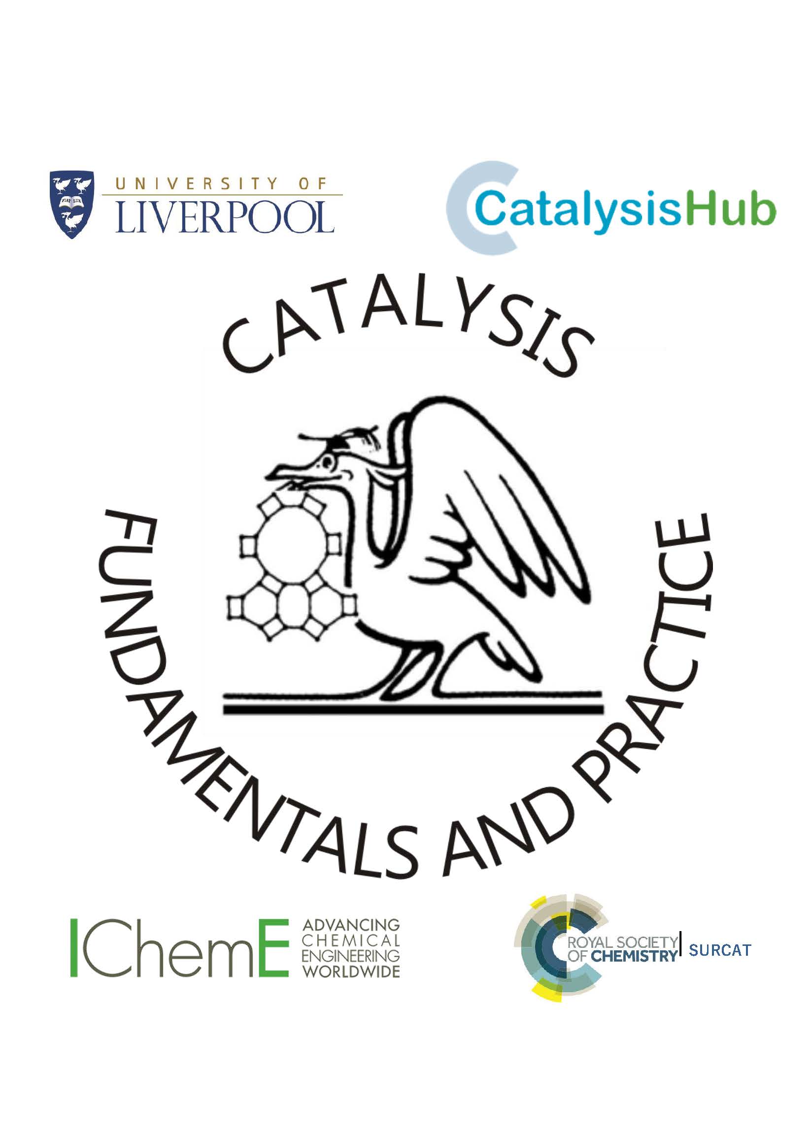 Catalysis Summer School logo