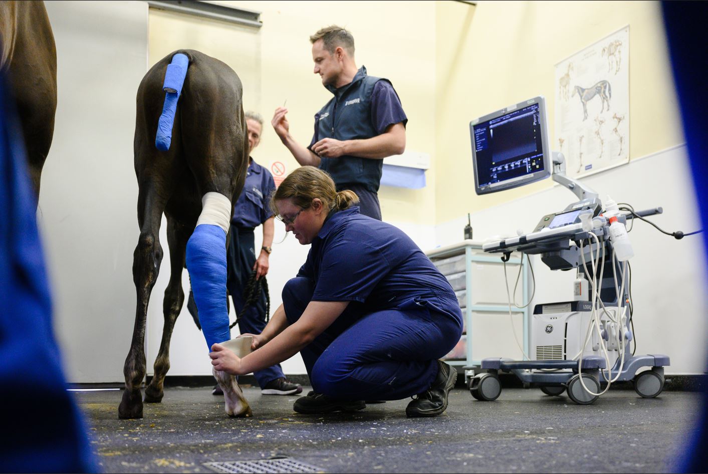 Wound Management