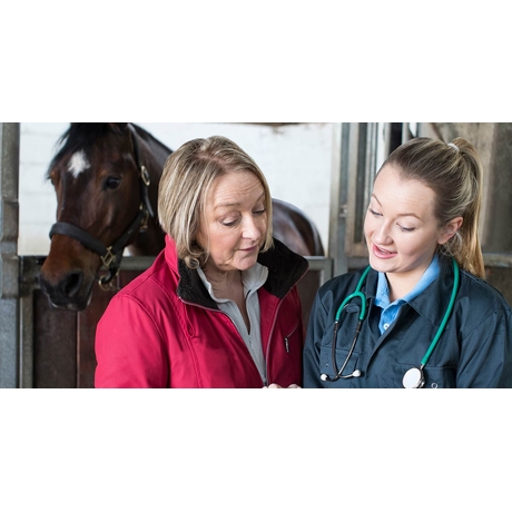 Liver fluke in horses