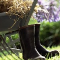 Wheelbarrow, Boots & Garden Fork