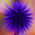 purple thistle