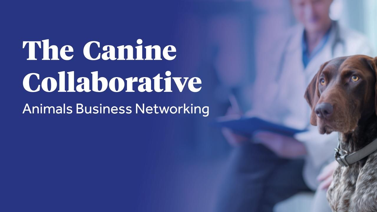 Canine Collaborative Image