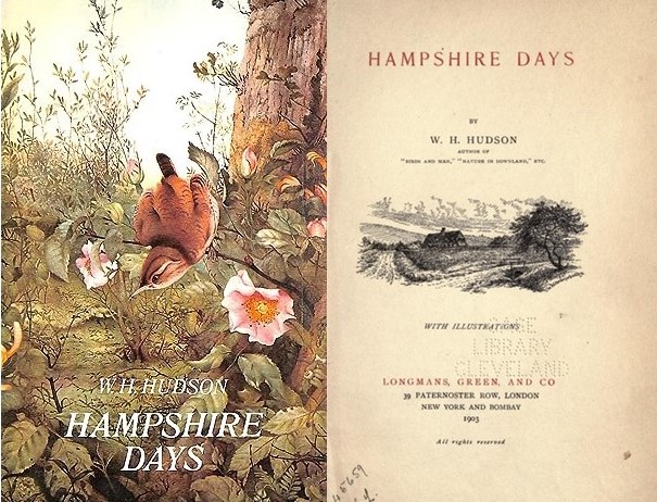 Hampshire Days