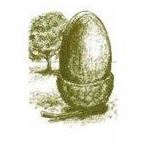 Acorn with oak tree in background