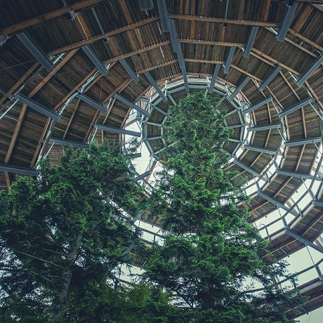 Net zero