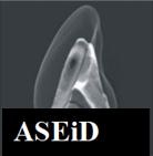 Society logo ASEiD