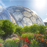 Eden Project Biom