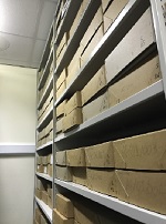 The Searchlight Archive shelving – Photo taken by Dr Daniel Jones