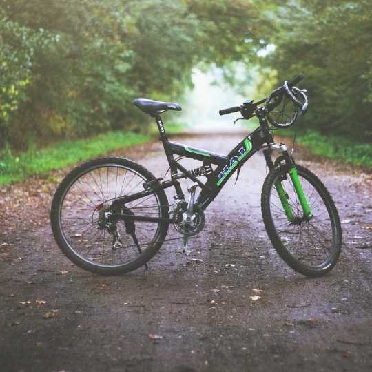 Mountain Biking