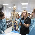 Professional Development anatomy sessions (Musculoskeletal System Anatomy and Applied Function)