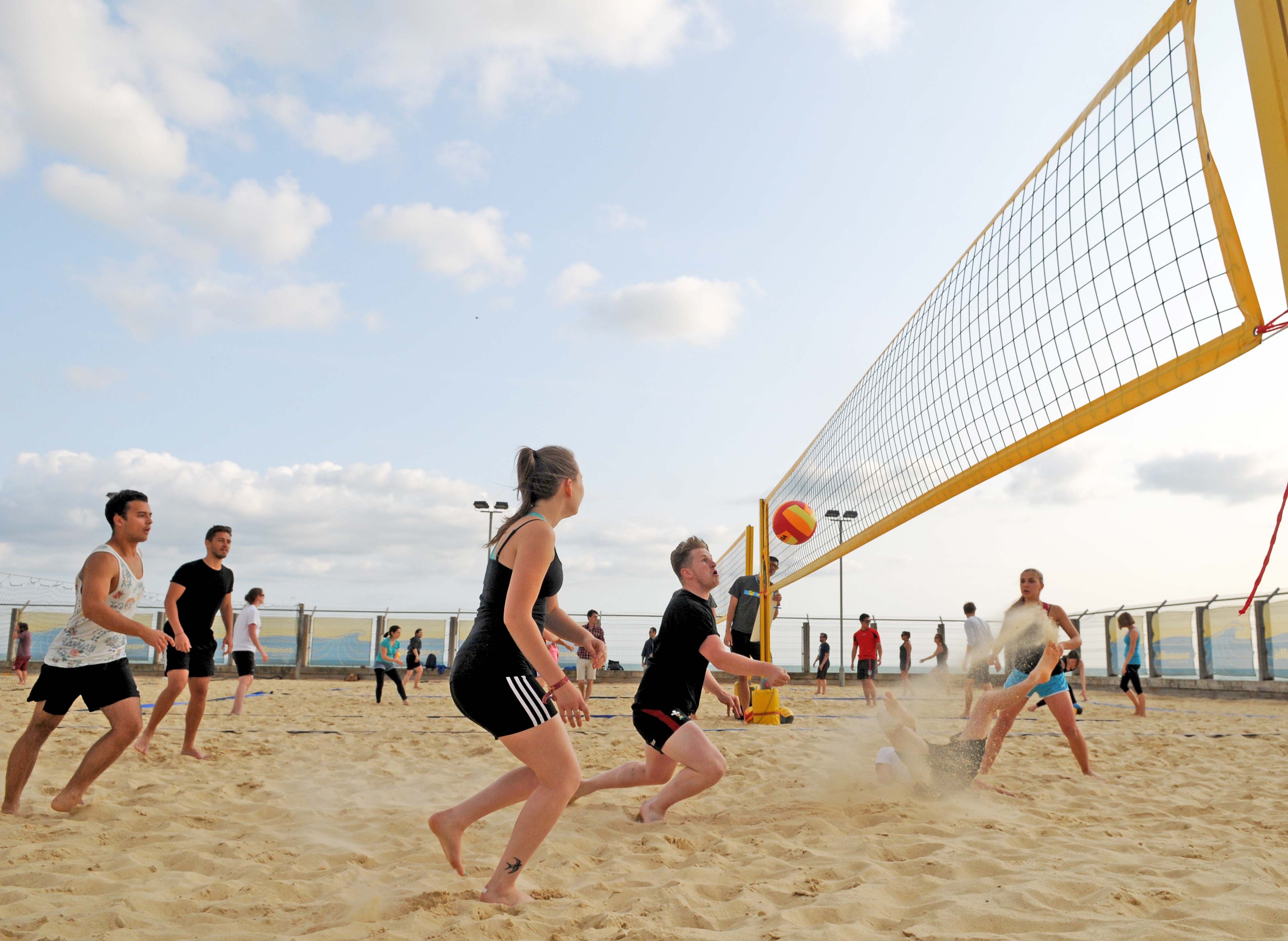 activeSTAFF volleyball