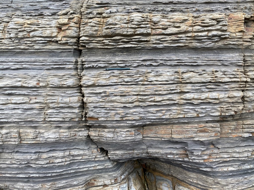 CoSE-Tidalites-2025-Pembrokeshire-workshop
