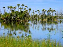 Florida 1