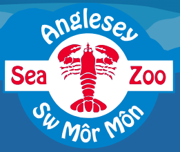 Anglesey Sea Zoo logo