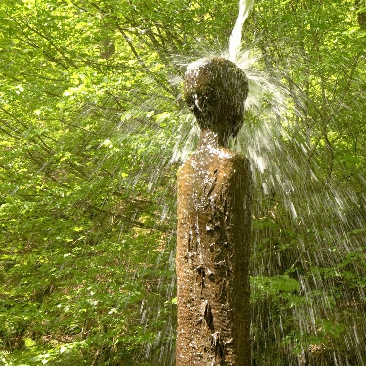 Grizedale Forrest