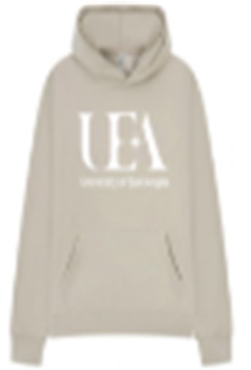 UEA Stone Oversized Hoody £25