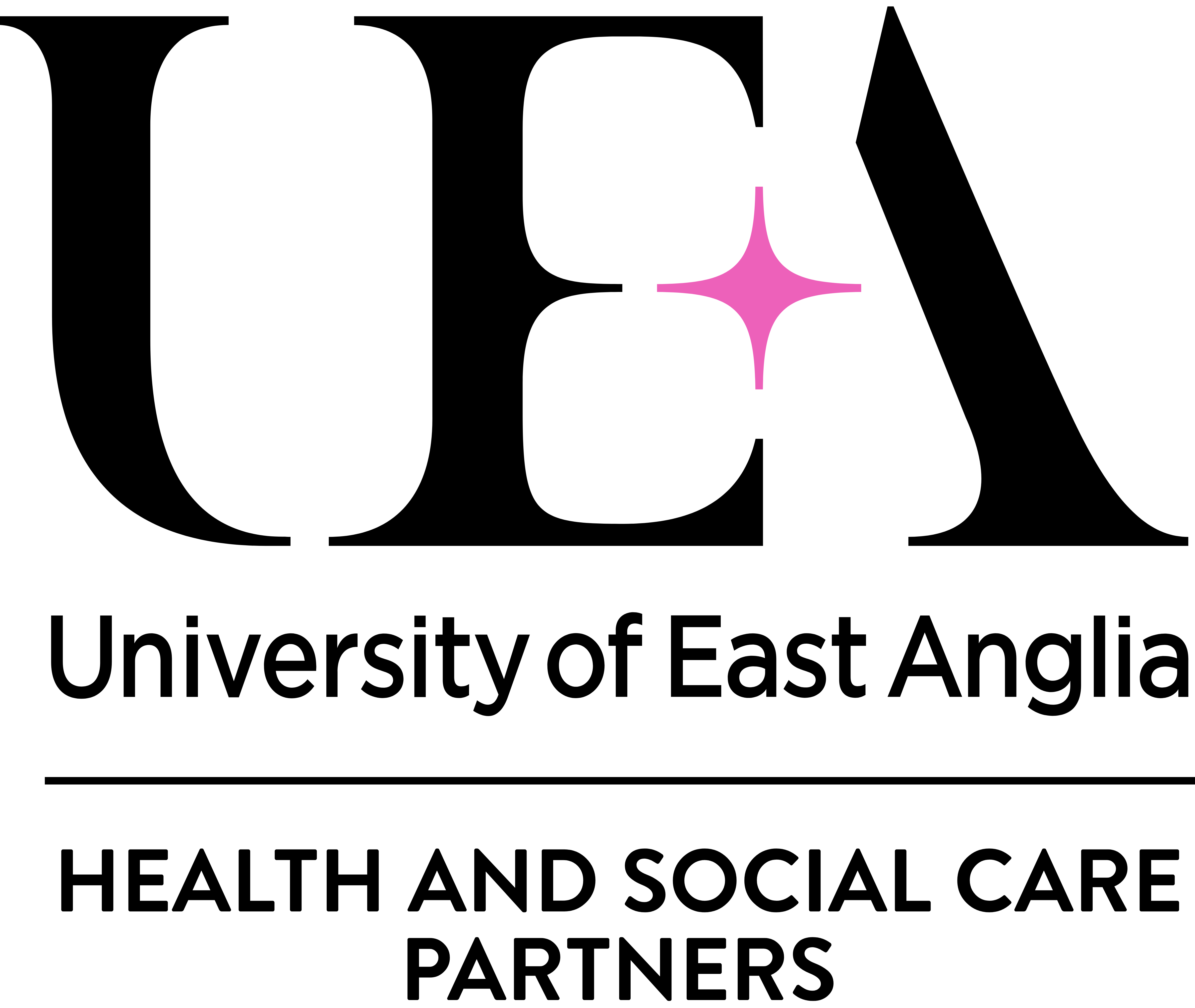 Capital letters spelling UEA with a pink star shape called a glint, forms the middle line of the E