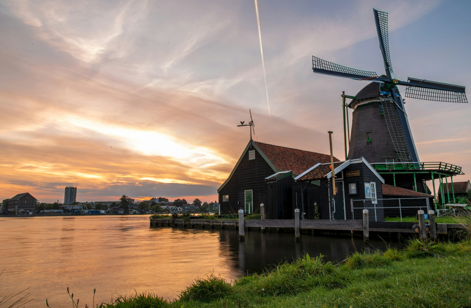 Image credit: Artem Shuba, Unsplash