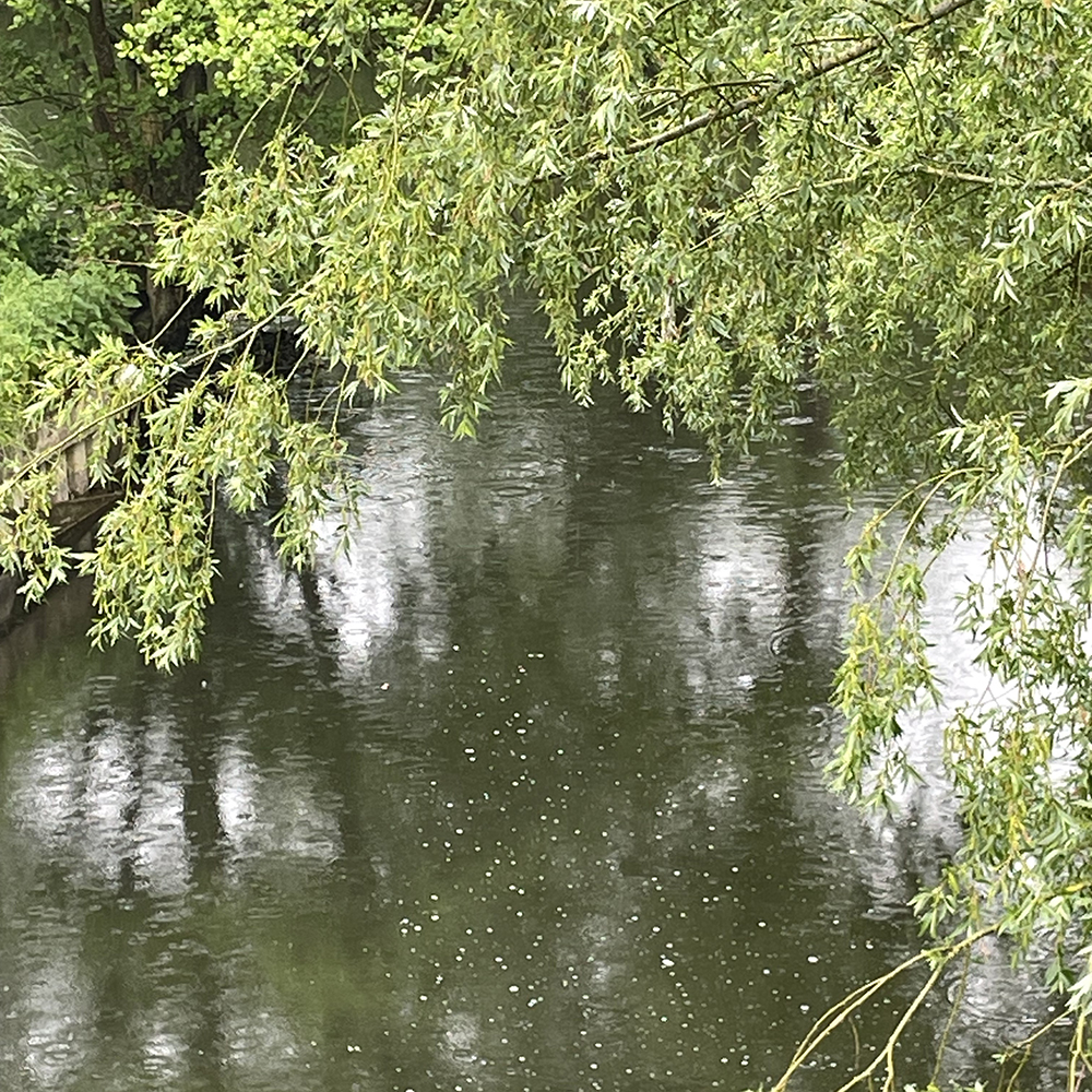 River Yare, UEA Campus
