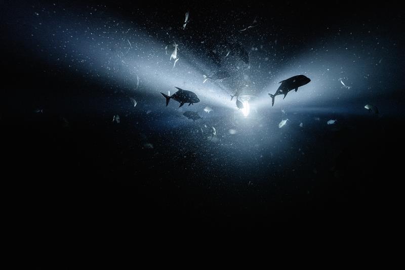 Julian Charrière, Midnight Zone, 2024. Copyright the artist, VG Bild-Kunst, Bonn, Germany