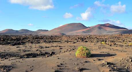 Lanzarote Landscape