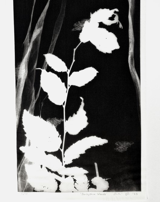 Derbyshire weeds silk print