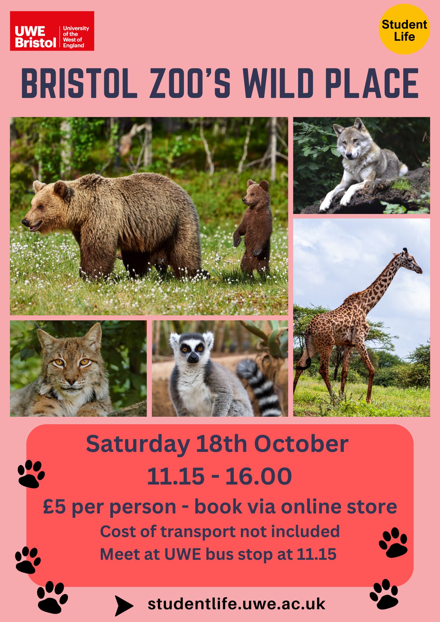 Bristol Wild Place Zoo Project - 18 October 2025