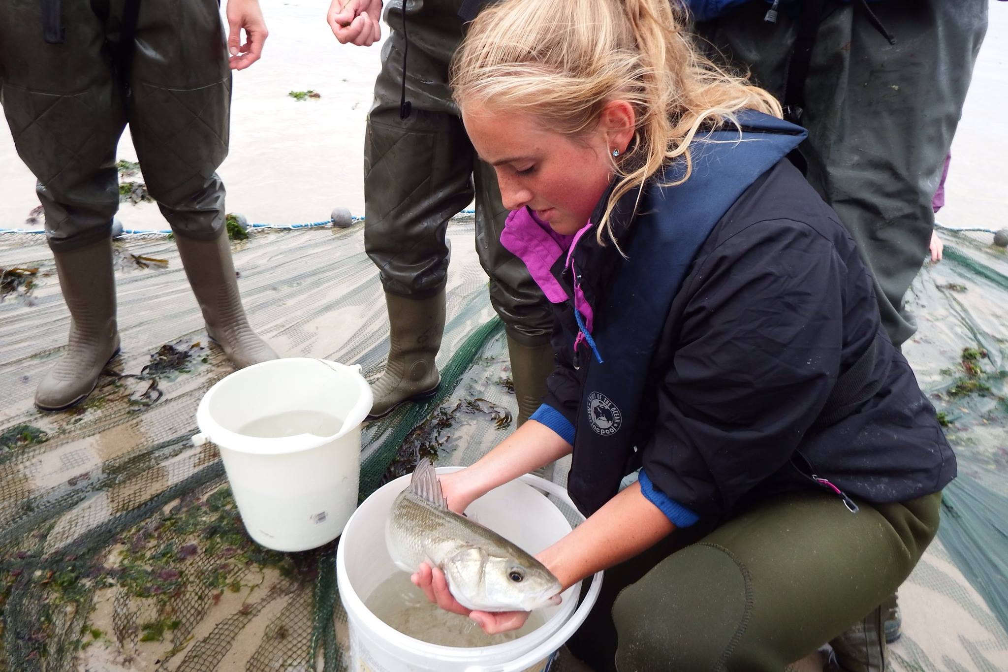 Person holding a fish