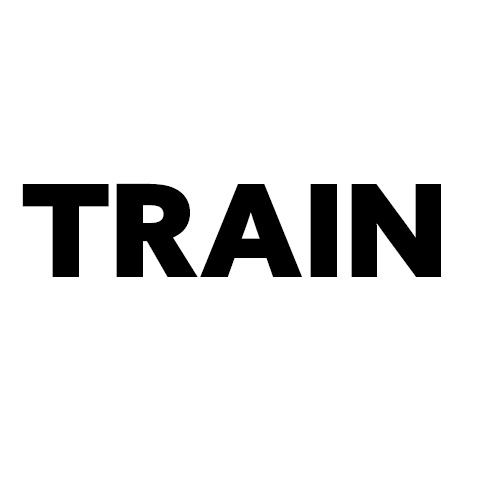 TRAIN!