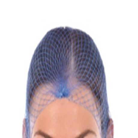 hairnet