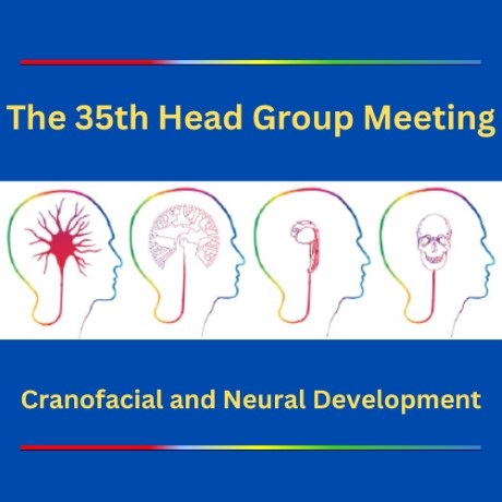 35th Head Group Meeting