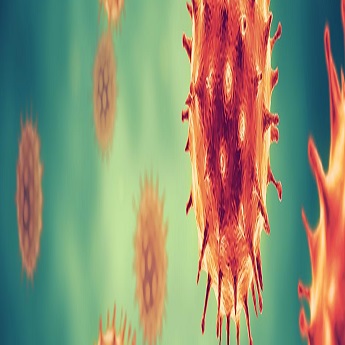 Nano Bemch Fee