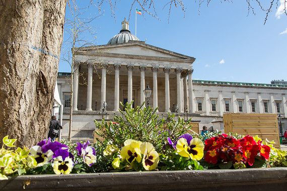 UCL Online Courses