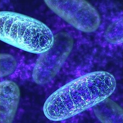 Mitochondrial Medicine