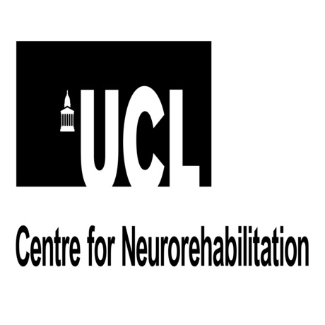 13th Annual Upper Limb