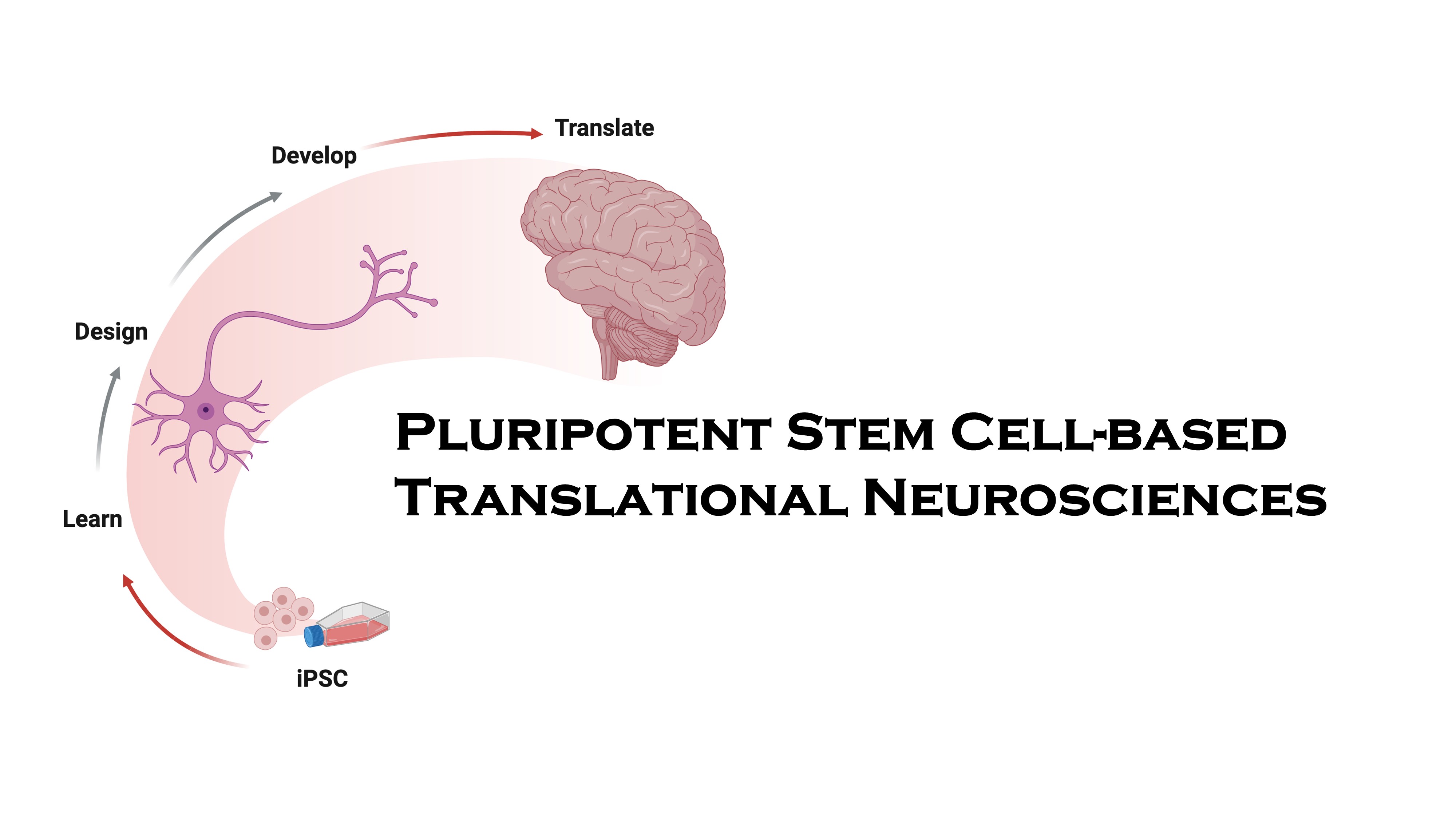 Pluripotent