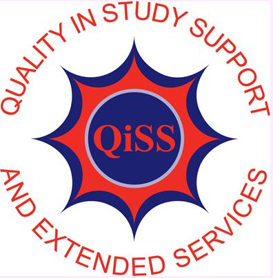 QiSS online action planning tool
