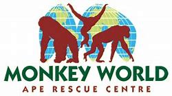Monkey World