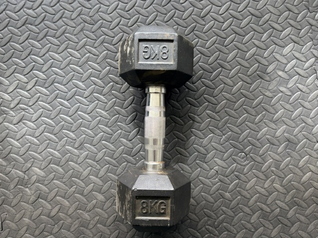 8kg Dumbbell