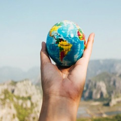 International Placement