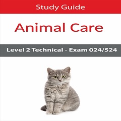 L2 Study Guide
