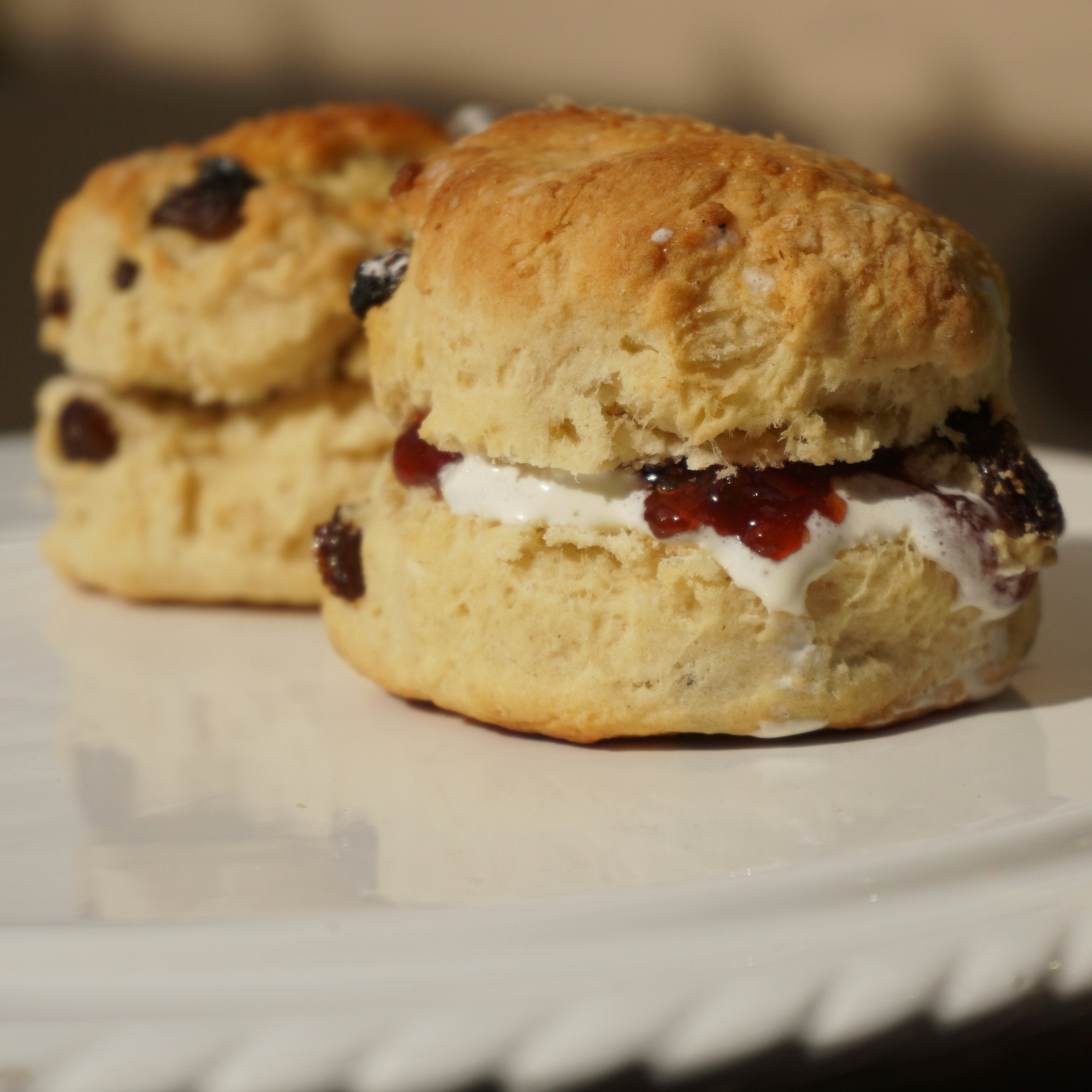 Curiositea Summer Afternoon Tea - 8 to 10 July 2025