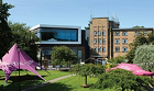 Steam Punk - Accommodation Available to General Public