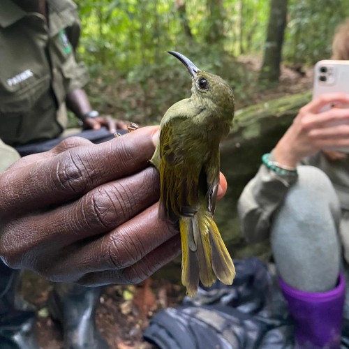 Uganda Field Course