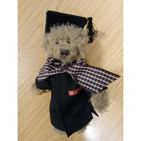 Graduation Bear