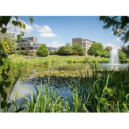 University of Bath