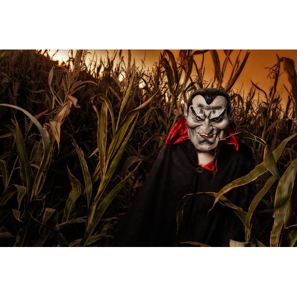 horrorfest