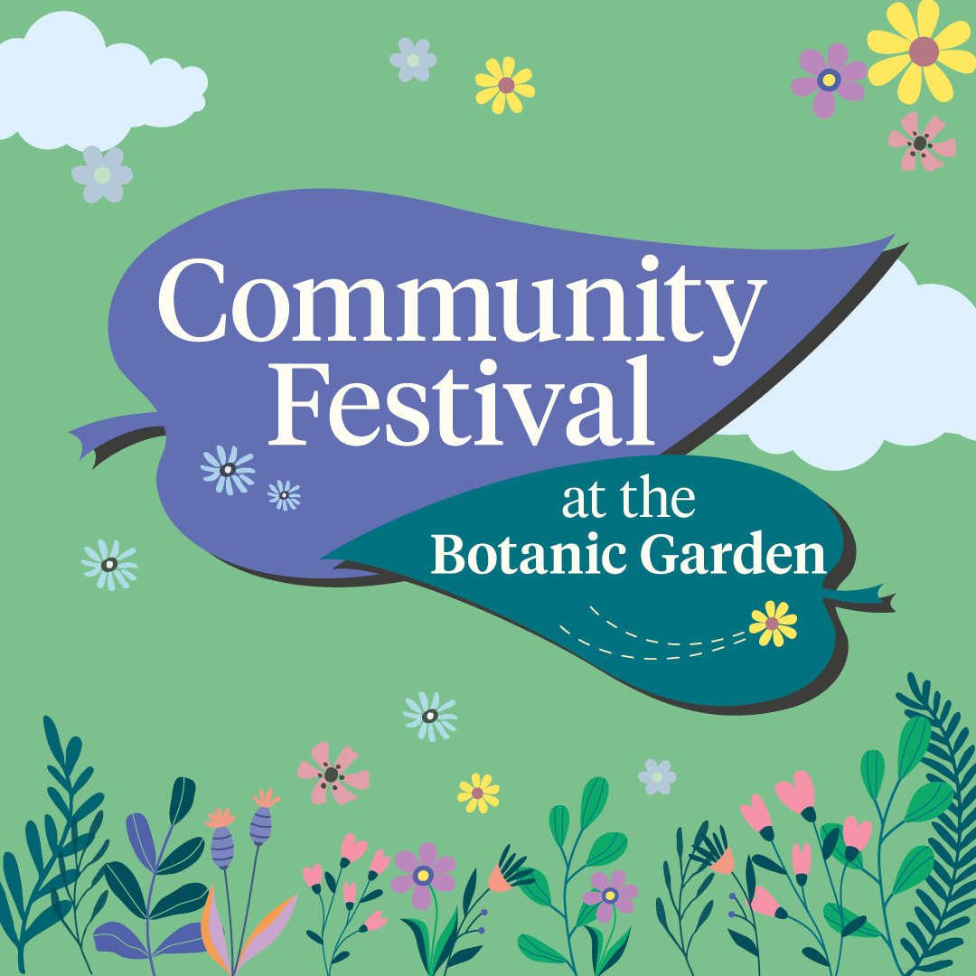 Community Festival